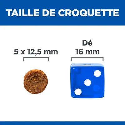 Taille de croquette : 5 x 12,5 mm à côté d’un dé bleu de 16 mm pour comparaison visuelle des dimensions.