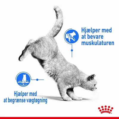 Grå kat med tekst: Hjælper med at bevare muskulaturen. Hjælper med at begrænse vægtøgning. Royal Canin krone nederst.