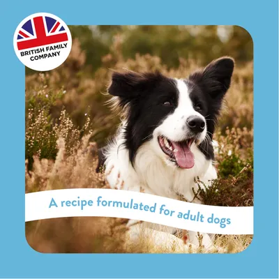 British Family Company. A recipe formulated for adult dogs.
