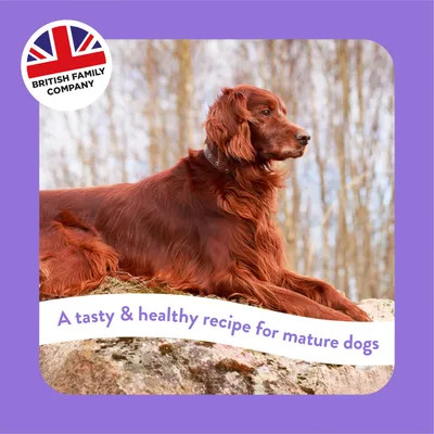 A tasty and healthy recipe for mature dogs. British family company.
