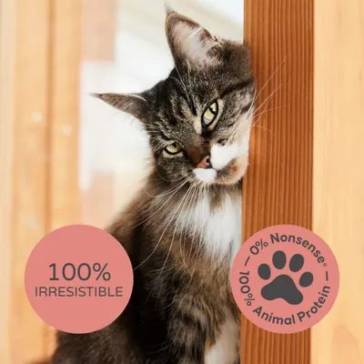 thrive PremiumPlus Dry Cat Food - Salmon & Herring - Economy Pack: 2 x 1.5kg thrive PremiumPlus Dry Cat Food - Salmon & Herring - Economy Pack: 2 x 1.5kg