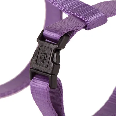 Boucle en plastique noir avec inscription TRIXIE sur sangle en nylon violet, détail d’un harnais ou collier pour animal