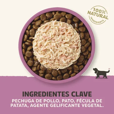 100% ingredientes naturales. Ingredientes principales: pechuga de pollo, pato, fécula de patata, gelificante vegetal. 100% ingredientes naturales. Ingredientes principales: pechuga de pollo, pato, fécula de patata, gelificante vegetal.