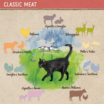 Illustrazione con un gatto nero e nomi di carni: Pollame, Anatra e Vitello, Coniglio e Tacchino, Agnello e Manzo, Agnello e Coniglio, Selvaggina, Pollo e Trota, Salmone e Tacchino, Manzo e Pollame.