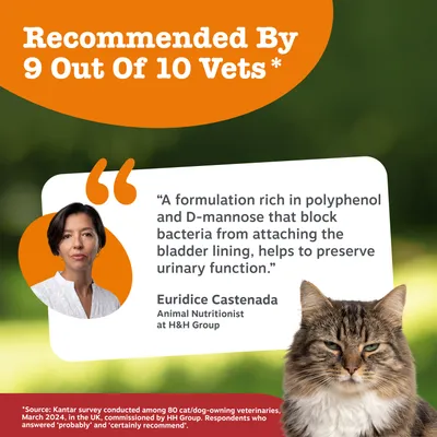 Recomandat de 9 din 10 medici veterinari. Formula cu polifenol și D-manoză blochează bacteriile de pe mucoasa vezicii urinare, susține funcția urinară. Sursa: sondaj Kantar 2024. Recomandat de 9 din 10 medici veterinari. Formula cu polifenol și D-manoză blochează bacteriile de pe mucoasa vezicii urinare, susține funcția urinară. Sursa: sondaj Kantar 2024.