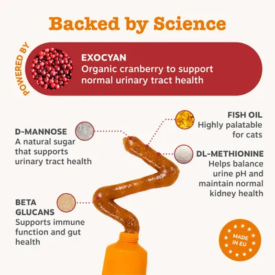 EXOCYAN Bio-Cranberry, D-Mannoză, ulei de pește, DL-metionină și beta-glucani pentru susținerea sănătății tractului urinar. Produs în UE. EXOCYAN Bio-Cranberry, D-Mannoză, ulei de pește, DL-metionină și beta-glucani pentru susținerea sănătății tractului urinar. Produs în UE.