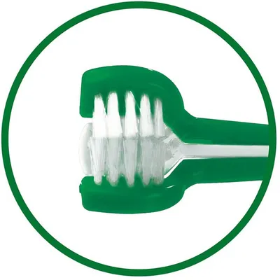 Groene tandenborstel met witte borstelharen, speciaal gevormd voor grondige reiniging. Close-up van de borstelkoppen.