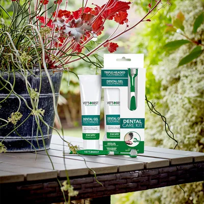 Vet's Best Dental Care Kit met tandgel en driekoppige tandenborstel. Bevat tandpasta voor 30 dagen en verzorgingsinstructies. Verpakking toont productdetails en gebruiksaanwijzing.