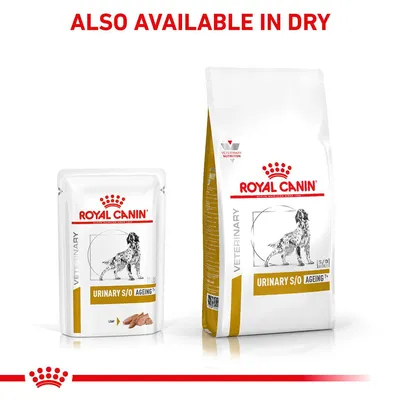 ROYAL CANIN VETERINARY URINARY S/O AGEING 7+ wet and dry dog food packaging, with text 'ALSO AVAILABLE IN DRY' at the top. Image shows both pouch and bag formats.