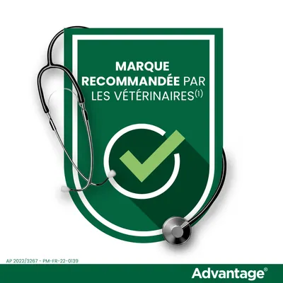 Marque recommandée par les vétérinaires. Advantage. AP 2022/3267 – PM-FR-22-0139