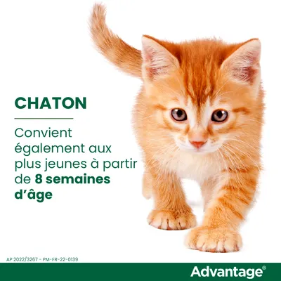 Texte : CHATON. Convient également aux plus jeunes à partir de 8 semaines d’âge. Marque Advantage en bas à droite.