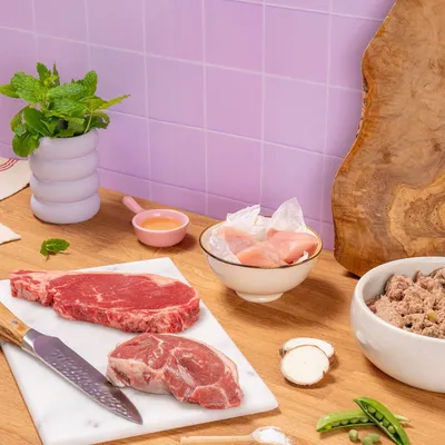 Pooch and Mutt Calm & Relaxed Wet Dog Food