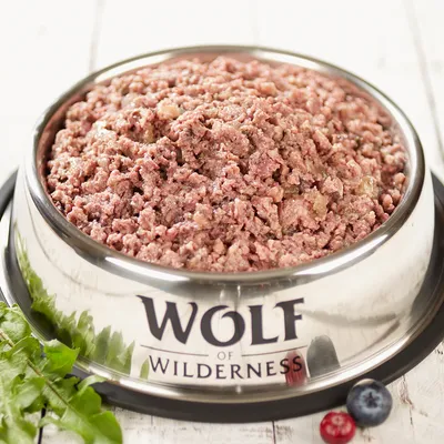 Wolf of Wilderness wet food in a stainless steel bowl, surrounded by fresh ingredients such as blueberries and leaves.