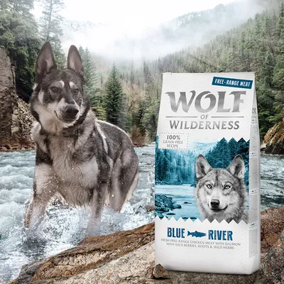 Wolf of Wilderness Blue River, bezobilná receptura s volně chovaným kuřetem a lososem, lesními plody, kořeny a bylinkami. Balení před říční krajinou.