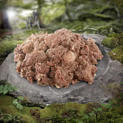 Nahaufnahme von rohem Fleisch auf einem Stein in einer Waldumgebung, mit einem Wolf im Hintergrund.