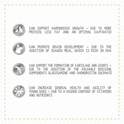 Teksti englanniksi: Can support harmonious growth, can promote brain development, can support the formation of cartilage and joints, can increase general health and agility of young dogs.