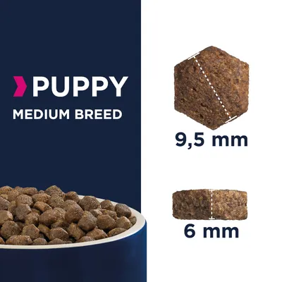 Puppy medium breed dry food shown in a bowl, with kibble dimensions indicated as 9.5 mm wide and 6 mm thick.