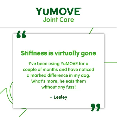 YuMOVE Joint Care. Kundenmeinung: 'Stiffness is virtually gone. I’ve been using YuMOVE for a couple of months and have noticed a marked difference in my dog.' – Lesley