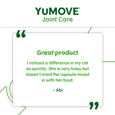 YuMOVE Joint Care. Great product. I noticed a difference in my cat so quickly. She is very fussy but doesn’t mind the capsule mixed in with her food. – Abi