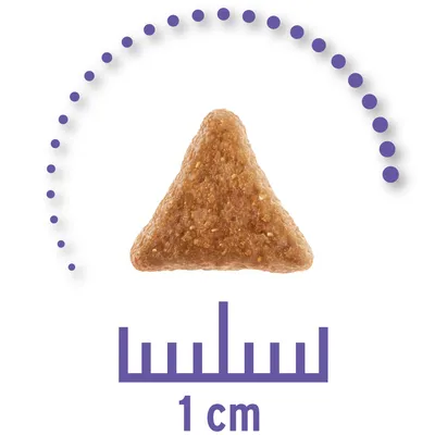 Kolmionmuotoinen lemmikinruokanappula, alla mitta-asteikko ja teksti '1 cm' osoittamassa nappulan kokoa.