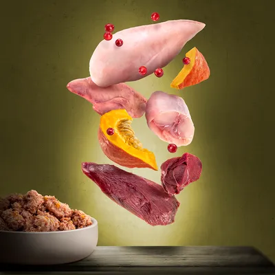 Raw chicken breast, beef, pumpkin, and other meat cuts with red berries above a bowl of minced pet food. No visible brand or text.