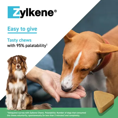 Zylkene Calming Chews for Medium Dogs 10 - 30 kg - 14 Chews Zylkene Calming Chews for Medium Dogs 10 - 30 kg - 14 Chews