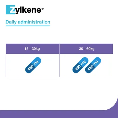 Zylkene Calming Supplement for Large Dogs 15 - 60 kg - 20 Capsules