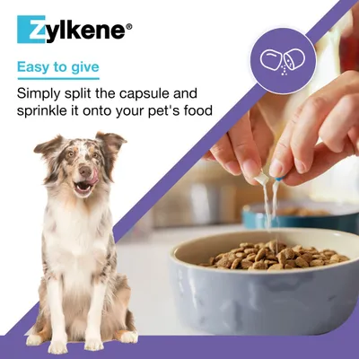 Zylkene Calming Supplement for Large Dogs 15 - 60 kg - 20 Capsules