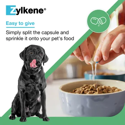 Zylkene Calming Supplement for Medium Dogs 10 - 30 kg - 20 Capsules Zylkene Calming Supplement for Medium Dogs 10 - 30 kg - 20 Capsules