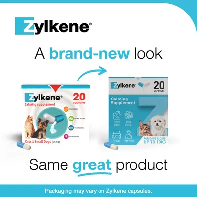 Zylkene Calming Supplement for Cats or Small Dogs <10kg - 20 Capsules