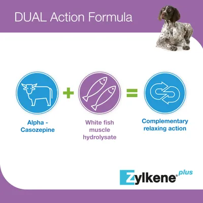 Zylkene Plus Calming Supplement 450mg for Large Dogs 15 - 60 kg - 30 Capsules Zylkene Plus Calming Supplement 450mg for Large Dogs 15 - 60 kg - 30 Capsules