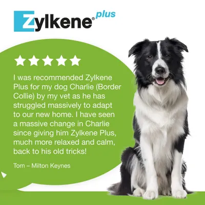 Zylkene Plus Calming Supplement 225mg for Medium Dogs 10 - 30 kg - 30 Capsules Zylkene Plus Calming Supplement 225mg for Medium Dogs 10 - 30 kg - 30 Capsules