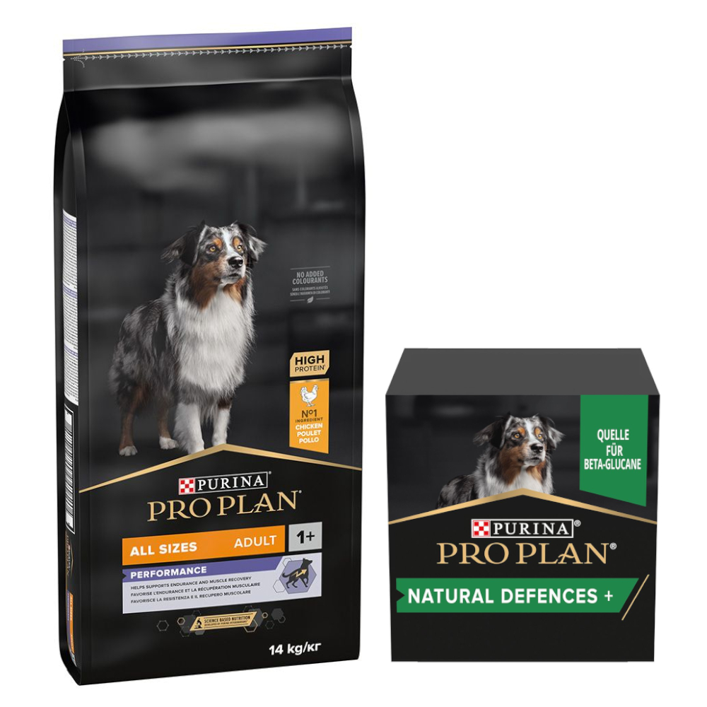 

Pro Plan 14 kg ração para cães + Suplemento alimentar grátis! - All Size Adult OptiPower frango