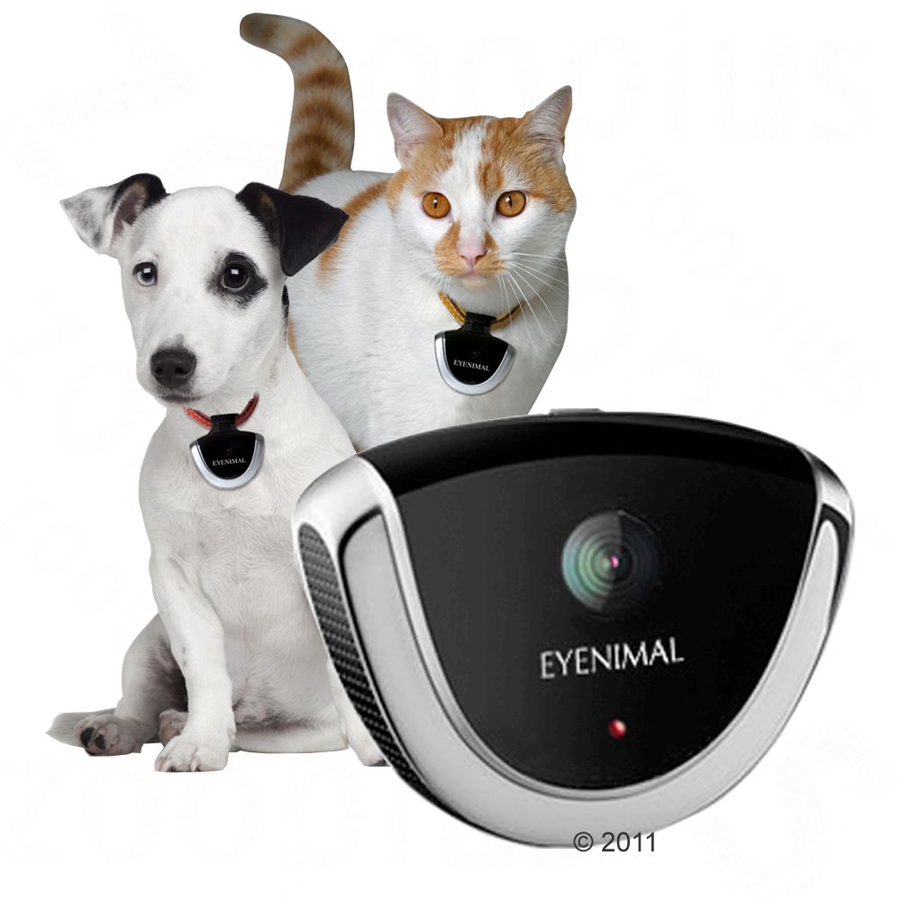 Free-roaming dogs have a great time around your garden Free-roaming dogs have a great time around your garden