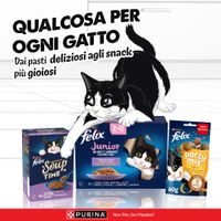 PURINA Felix Junior, Soup Time e Party Mix snack per gatti. Qualcosa per ogni gatto. Dai pasti deliziosi agli snack più gioiosi.