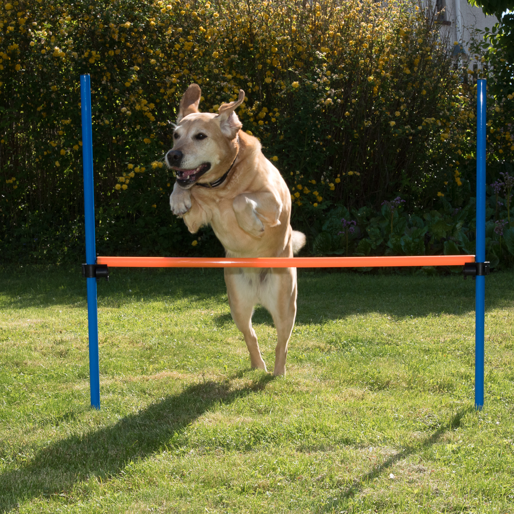 Fotografie produktu: Agility překážka - Překážka