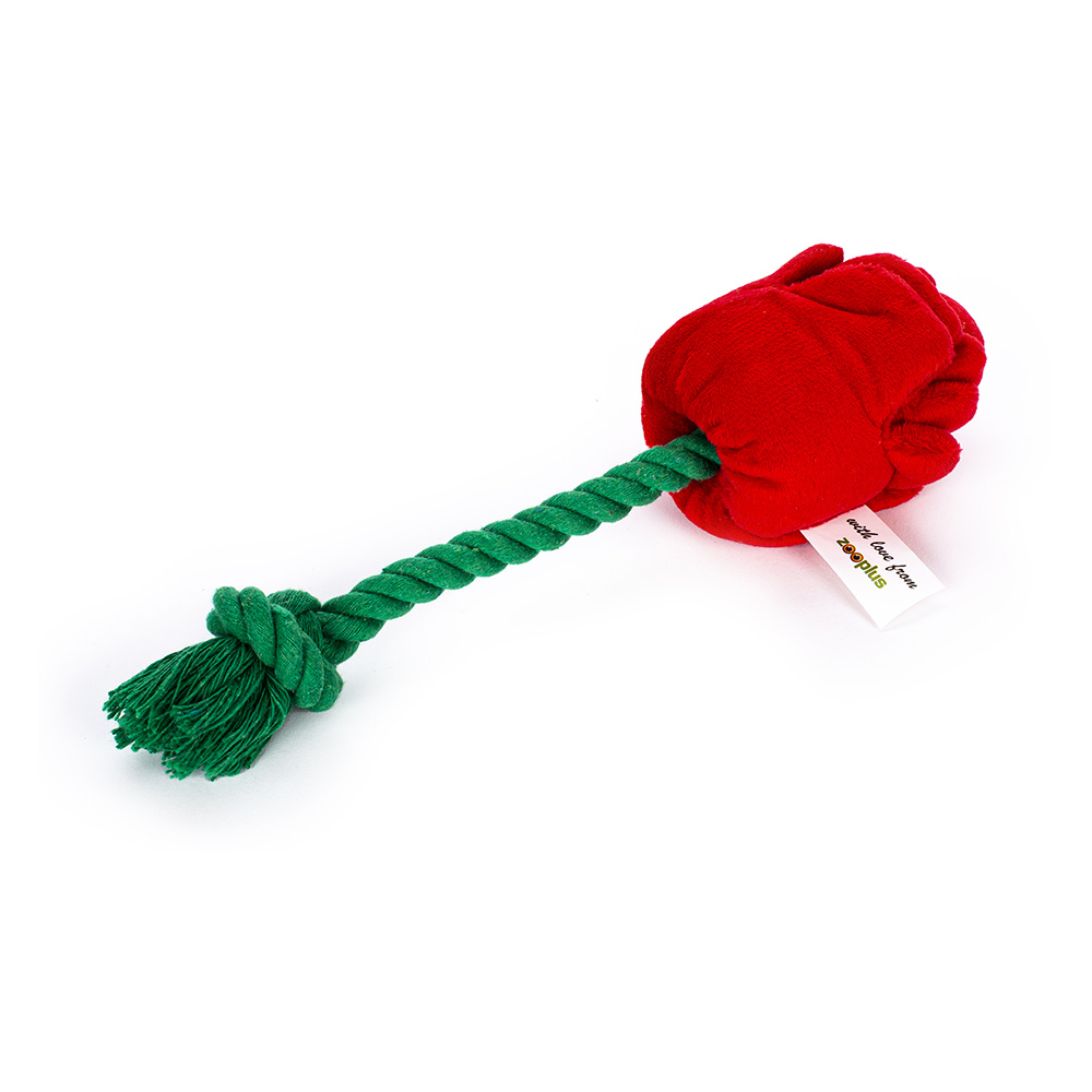 zooplus Hundespielzeug Spieltau Rose - 1 Stück