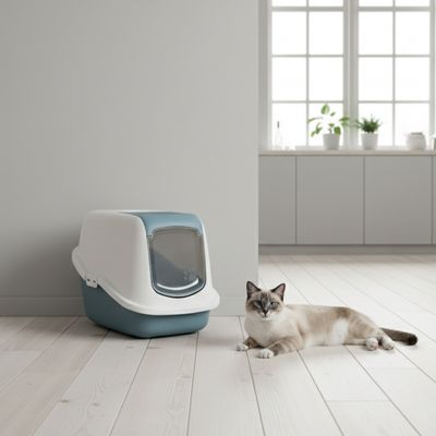 Gesloten kattenbak met pendeldeur in wit en blauw, daarnaast een liggende kat op een lichte houten vloer.