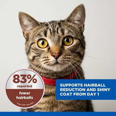 Hill's Science Plan Hairball & Perfect Coat Adult 1+ with Chicken - 7kg