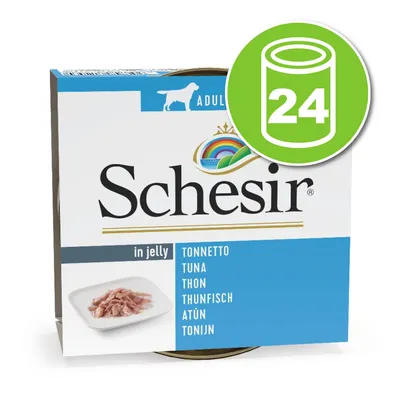 Schesir in jelly, thon pour chien adulte. Texte visible : tonnetto, tuna, thon, thunfisch, atún, tonijn. Lot de 24 boîtes indiqué par une icône verte avec le chiffre 24.