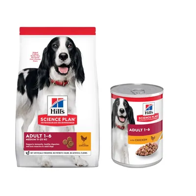 Set prova misto! Hill's Science Plan Adult con Pollo secco + umido - 14 kg crocchette + 6 x 370 g umido