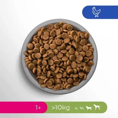 Hondenbrokken in een grijze kom, pictogram kip, label: 1+, >10 kg, pictogrammen van verschillende hondenmaten zichtbaar.