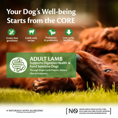 Adult lamb recipe supports digestive health and food sensitivity with single lamb protein, dietary fibre, prebiotics, probiotics. Grain-free, low carbs, no fillers, hypo-allergenic.
