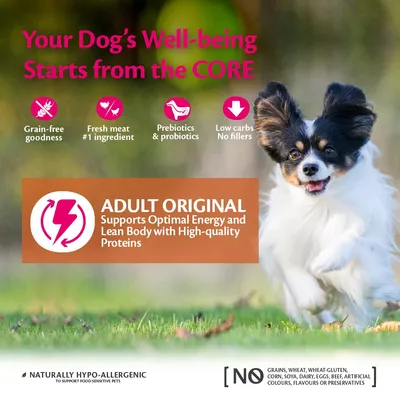 Adult Original supports optimal energy and lean body with high-quality proteins. Grain-free, fresh meat as main ingredient, prebiotics, low carbs, no fillers, naturally hypo-allergenic.