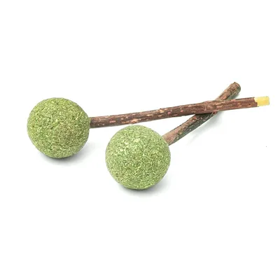 Aumüller Silvervine Lolli tandvårdsleksak - 1 set (2 st)
