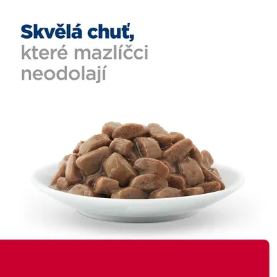 Miska s kúskami krmiva v omáčke, nad ňou český text: Skvělá chuť, které mazlíčci neodolají.