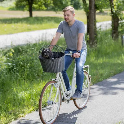 Cykelkurv med gitterlåg, egnet til transport af kæledyr, monteret på en hvid cykel.