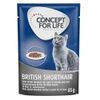 Sparpaket Concept for Life 24 x 85 g British Shorthair Adult (Ragout-Qualität)