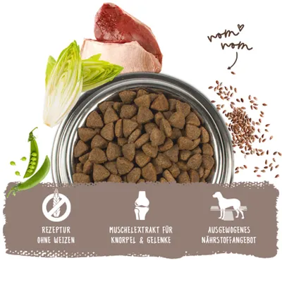 Trockenfutter mit Erbse, Lauch, Fleisch und Leinsamen. Symbole: Rezeptur ohne Weizen, Muschelextrakt für Knorpel & Gelenke, ausgewogenes Nährstoffangebot. Trockenfutter mit Erbse, Lauch, Fleisch und Leinsamen. Symbole: Rezeptur ohne Weizen, Muschelextrakt für Knorpel & Gelenke, ausgewogenes Nährstoffangebot.