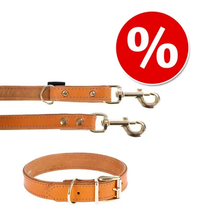 Ensemble collier et laisse en cuir marron avec boucles métalliques, symbole de pourcentage blanc sur fond rouge indiquant une offre ou promotion visible.